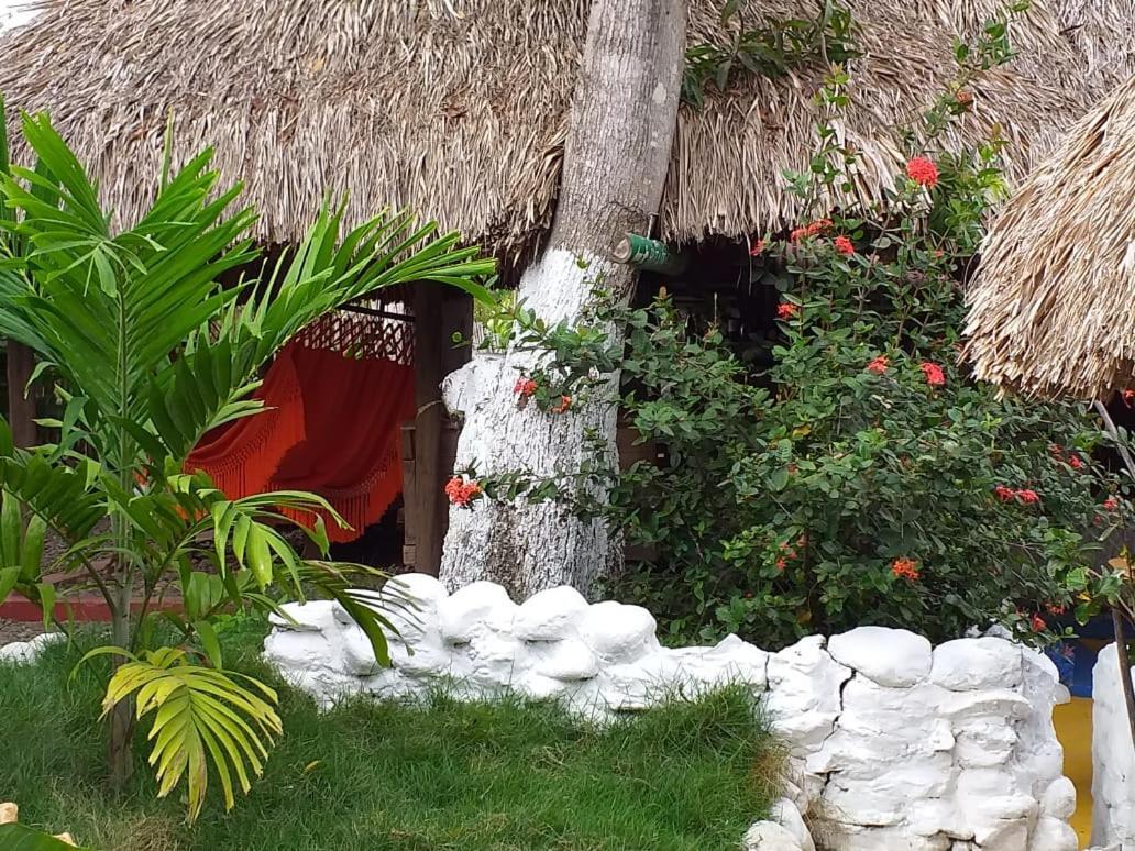 Hostel Cattleya Palomino Exterior foto