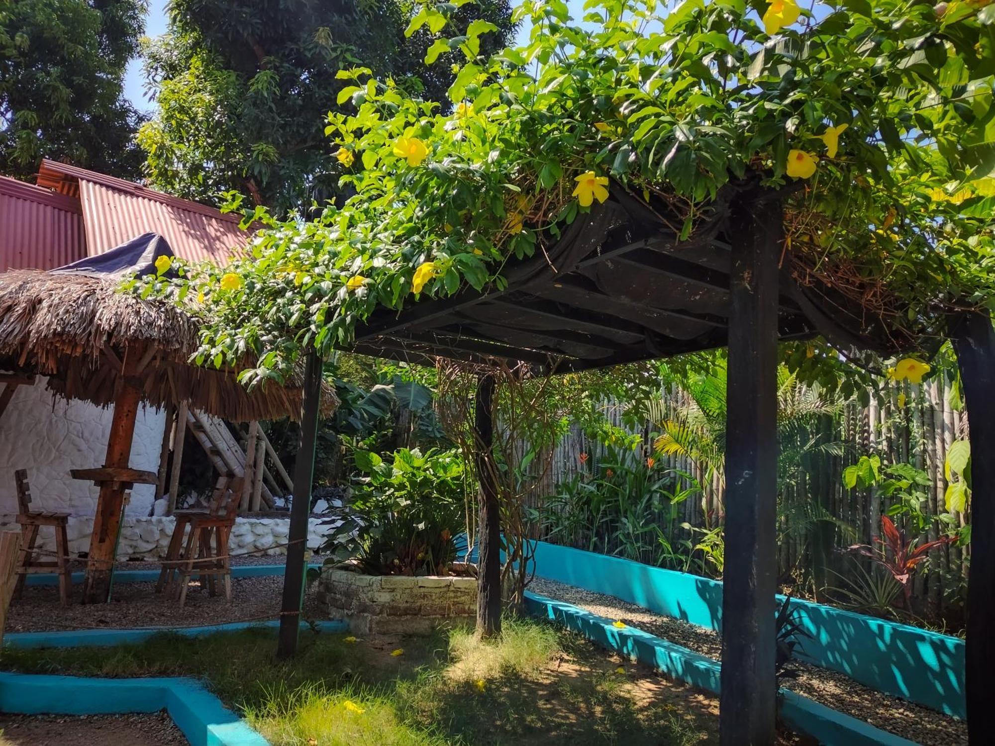 Hostel Cattleya Palomino Exterior foto