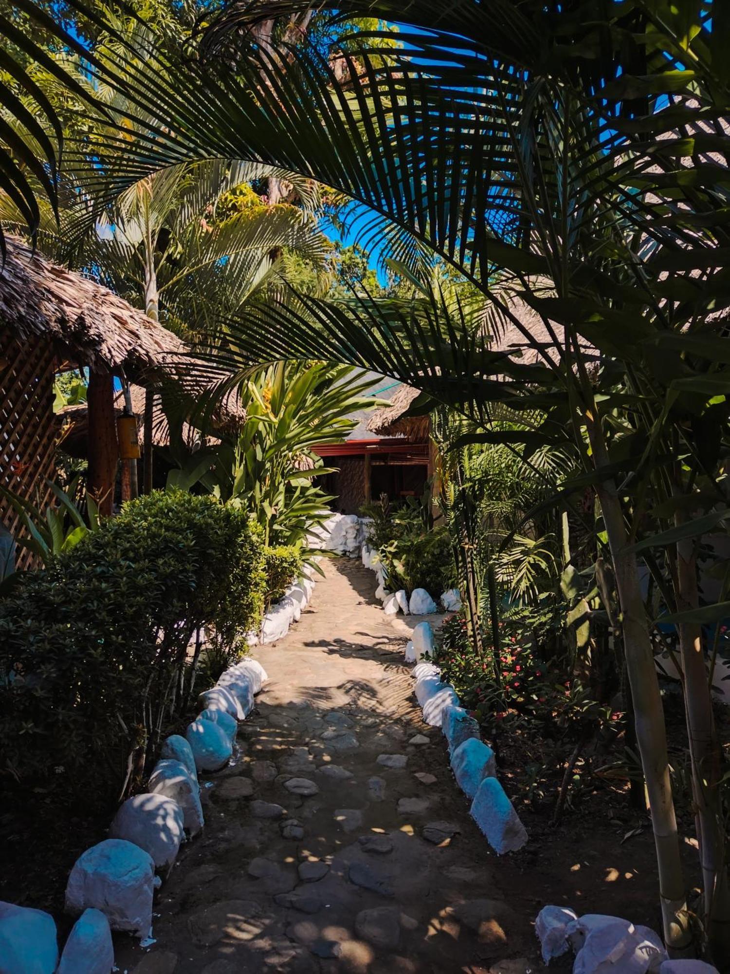 Hostel Cattleya Palomino Exterior foto