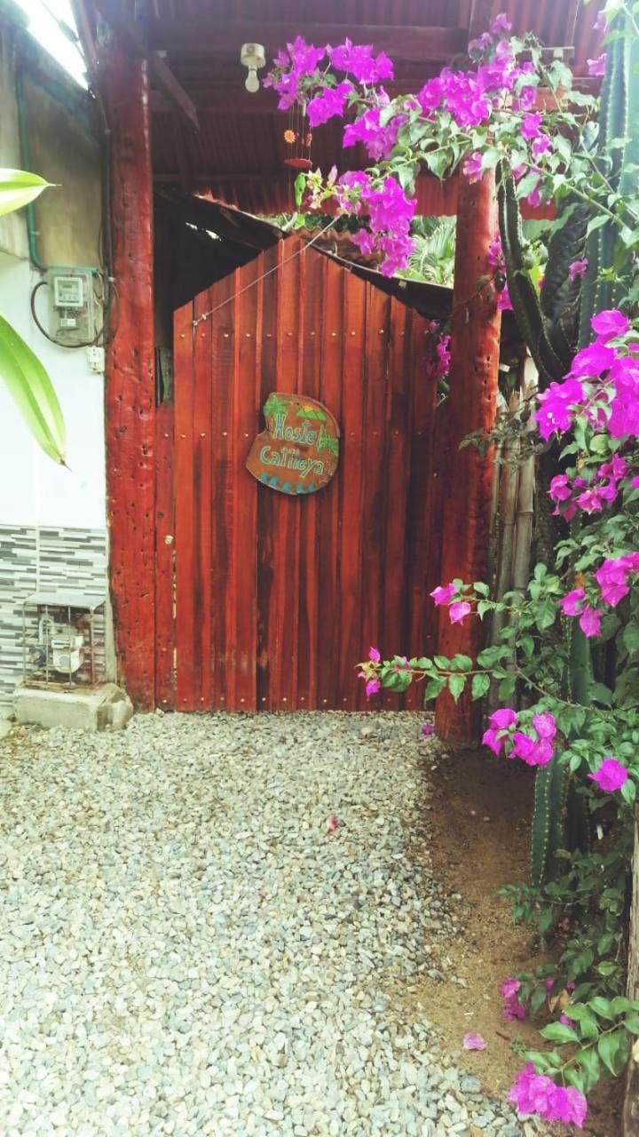 Hostel Cattleya Palomino Exterior foto